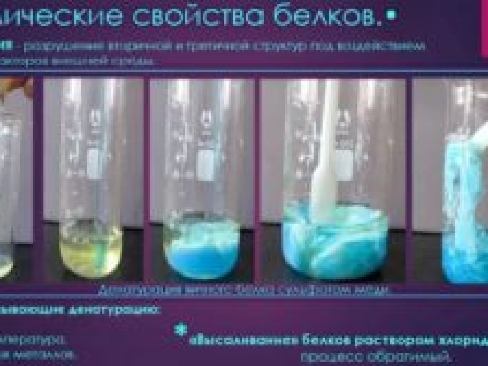 Татарстанские ученые с помощью новейшей методики изучили процесс сворачивания белка