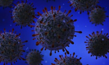 Перспективные малые молекулы - диспироазаалканы показали высокую активность против цитомегаловируса