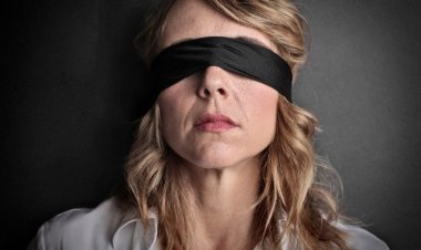 Слепой от рождения собаке частично восстановили зрение