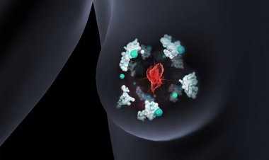 Связывающие медь белки — новая мишень для борьбы с раком