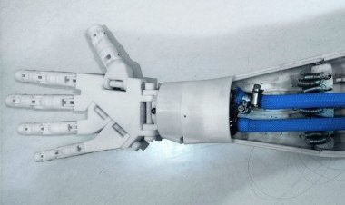 Студенты НГТУ НЭТИ создали пневматические мышцы для роботов