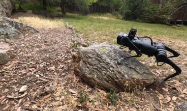 Новый миниробот может адаптироваться на любой местности