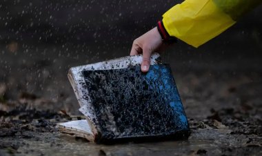 Намокла книга — что делать?