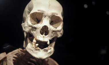 Искусственный интеллект нашёл неизвестного предка в геноме человека