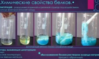 Татарстанские ученые с помощью новейшей методики изучили процесс сворачивания белка