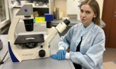 Молодой казанский ученый разрабатывает безопасный способ терапии онкозаболеваний