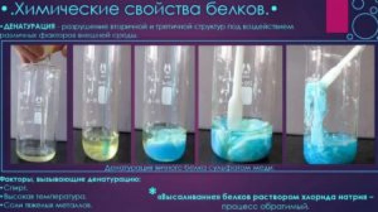 Татарстанские ученые с помощью новейшей методики изучили процесс сворачивания белка