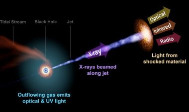 Астрономы обнаружили самую далекую черную дыру, поглощающую звезду