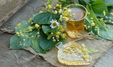 В каких случаях липовый чай становится опасен для здоровья