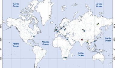 Пиявки регулярно используют других пресноводных животных в качестве убежища