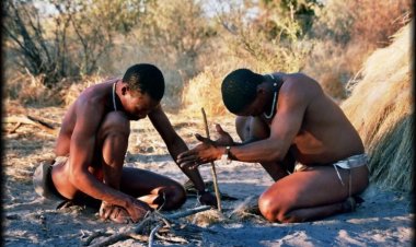 100000 лет назад бушменов было больше всех