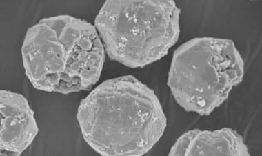 Композитные материалы на основе угольной золы помогут переработать радиоактивные отходы