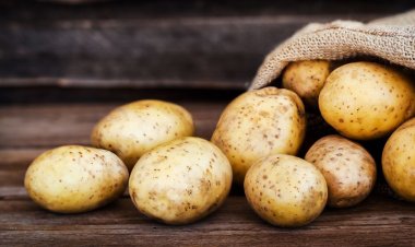 Как правильно готовить картофель, чтобы он был полезен для здоровья