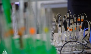 Ученые ЮФУ обнаружили новое семейство магнитов