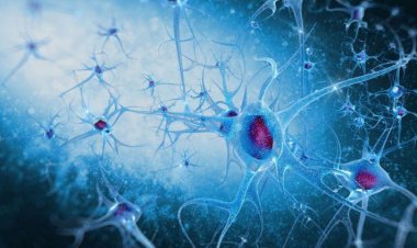 Прионы дрожжей помогут понять особенности развития нейродегенеративных заболеваний