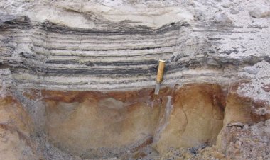 В Гренландии найдена древнейшая ДНК