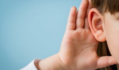 Прекурсор витамина В3 спасает от глухоты