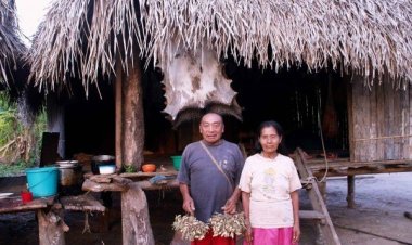 Призрак мести в лесах Амазонки