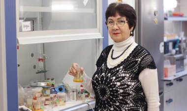 Инновационные капли ускорят лечение глазных заболеваний у животных