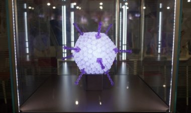 Наука на грани искусства