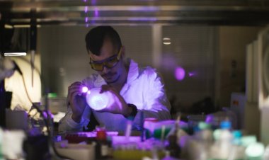 Светящийся белок поможет оценивать количество кальция в дрожжевых клетках