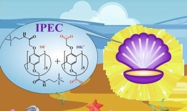 Ученые КФУ создали самособирающуюся «упаковку» для нерастворимых в воде лекарств