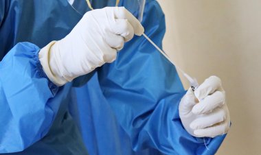 Втрое больше официальных данных: Всемирная организация здравоохранения оценила смерти от ковида