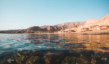 Почему Красное море так называется