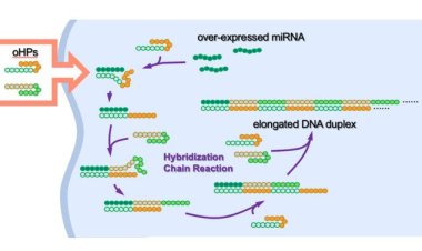 Японские ученые разработали искусственную ДНК для борьбы с раком