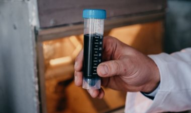 Красноярские ученые создали новый синтетический 2D-материал