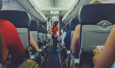 Как получить бесплатную еду и напитки в самолете: советы стюардесс