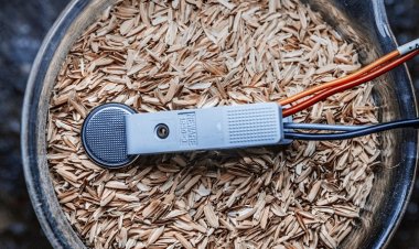 Ученые МГУ превратили рисовую шелуху в электрод для суперконденсаторов