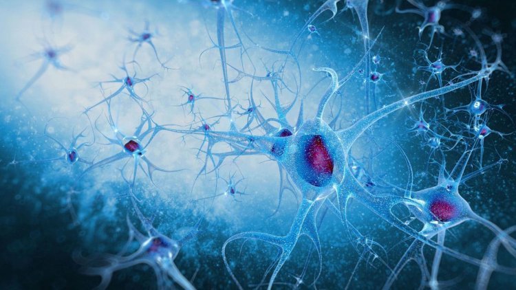 Прионы дрожжей помогут понять особенности развития нейродегенеративных заболеваний