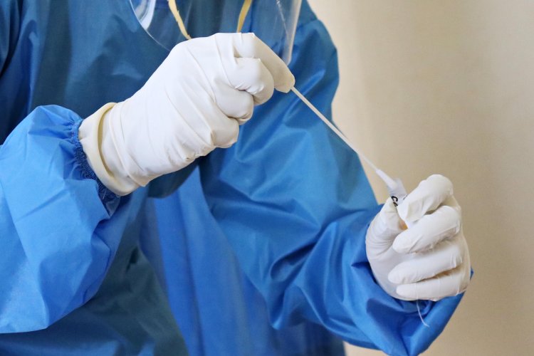 Втрое больше официальных данных: Всемирная организация здравоохранения оценила смерти от ковида
