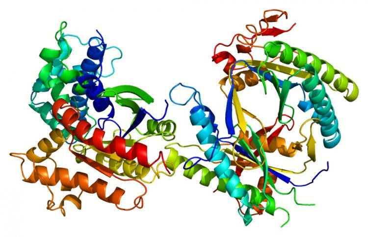 Ученые изучают происхождение белков