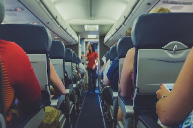 Как получить бесплатную еду и напитки в самолете: советы стюардесс
