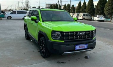 В России появился Cool Dog от Haval в топовой комплектации