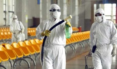 Иммунолог предупредил, что в 2024 году может развиться пандемия гриппа