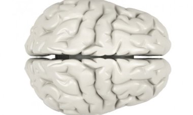 Как курение марихуаны влияет на мозг