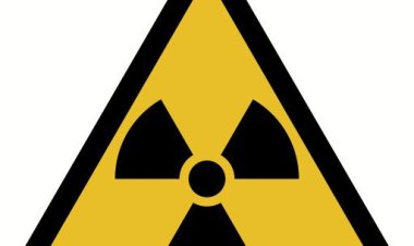 Японская радиация добралась до Калифорнии