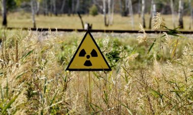 В России еще остались села, зараженные после Чернобыльской аварии, их будут реабилитировать