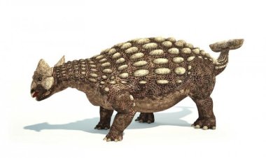 Как динозавры охлаждали свой мозг