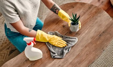 Как избавиться от пыли — метод от наших бабушек