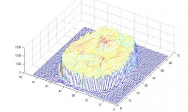 Сколько ядер в процессоре человеческого мозга?