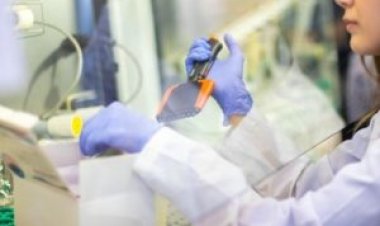 Казанские ученые разрабатывают технологии для лечения рассеянного склероза