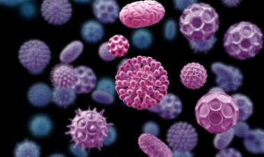 Вирусы страшнее Эболы