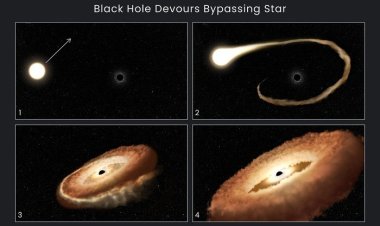 «Хаббл» наблюдал черную дыру, скручивающую звезду в форму пончика
