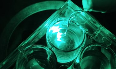 Ученые разрабатывают лекарства для подавления аритмии на основе аналогов ботокса