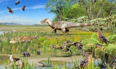 В чилийской долине найдены останки нескольких видов динозавров