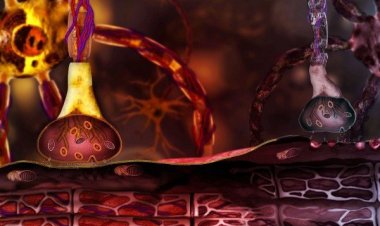 Маркетинг помогает медицине исследовать боковой амиотрофический склероз